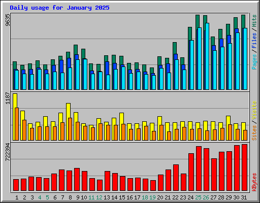 Daily usage for January 2025
