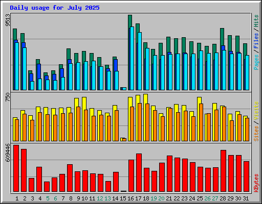 Daily usage for July 2025