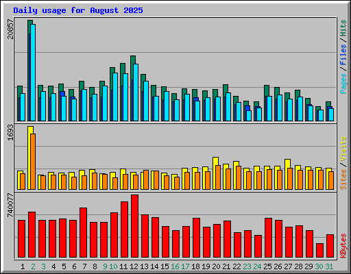 Daily usage for August 2025