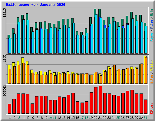 Daily usage for January 2026