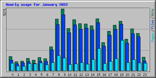 Hourly usage for January 2022