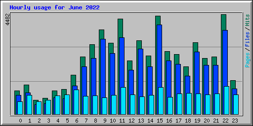 Hourly usage for June 2022