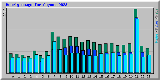 Hourly usage for August 2023