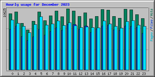 Hourly usage for December 2023