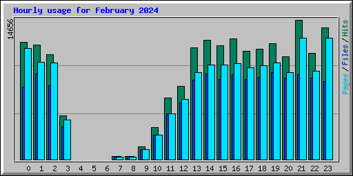 Hourly usage for February 2024