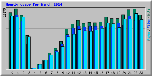 Hourly usage for March 2024