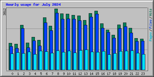 Hourly usage for July 2024