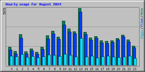 Hourly usage for August 2024