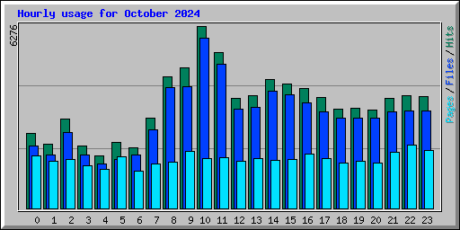Hourly usage for October 2024