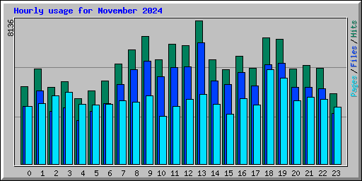 Hourly usage for November 2024