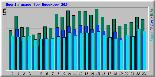 Hourly usage for December 2024