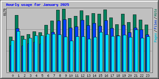Hourly usage for January 2025