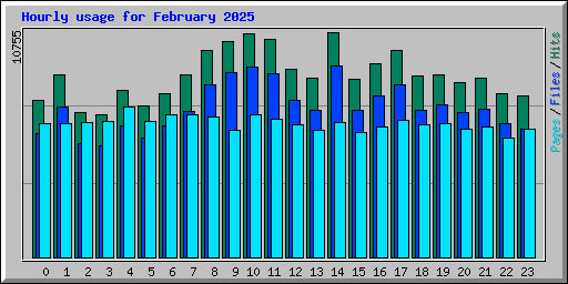 Hourly usage for February 2025
