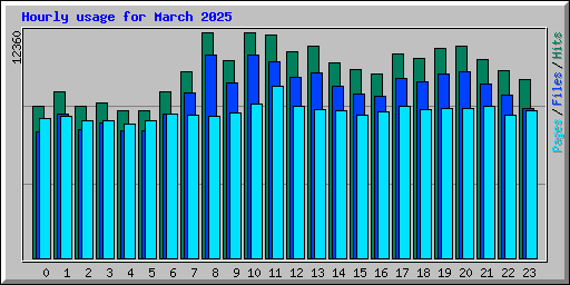 Hourly usage for March 2025