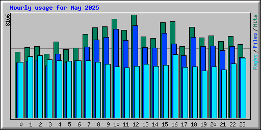Hourly usage for May 2025