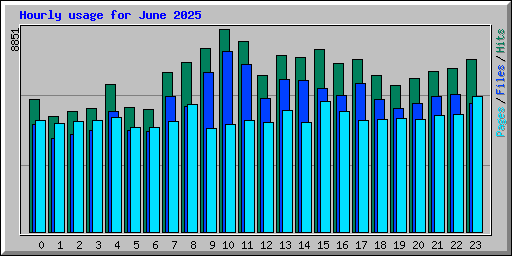 Hourly usage for June 2025