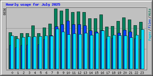 Hourly usage for July 2025