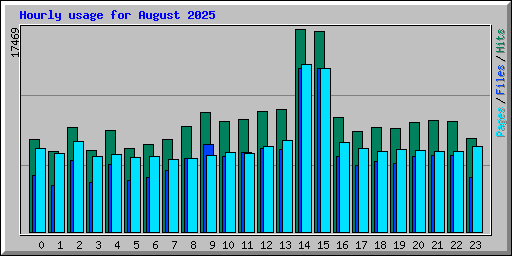 Hourly usage for August 2025