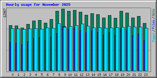 Hourly usage for November 2025