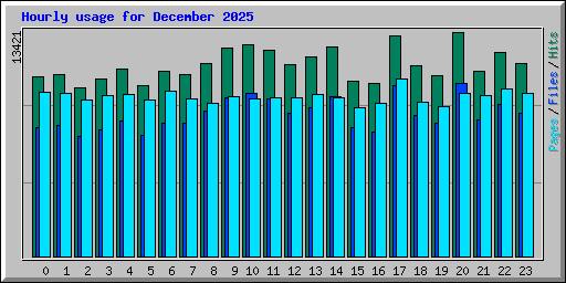 Hourly usage for December 2025