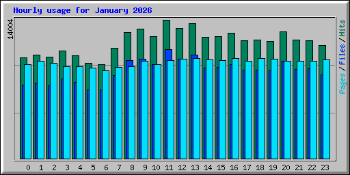 Hourly usage for January 2026