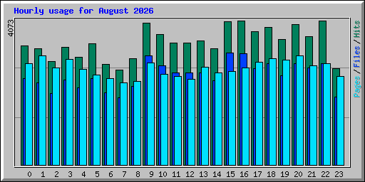 Hourly usage for August 2026