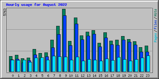 Hourly usage for August 2022